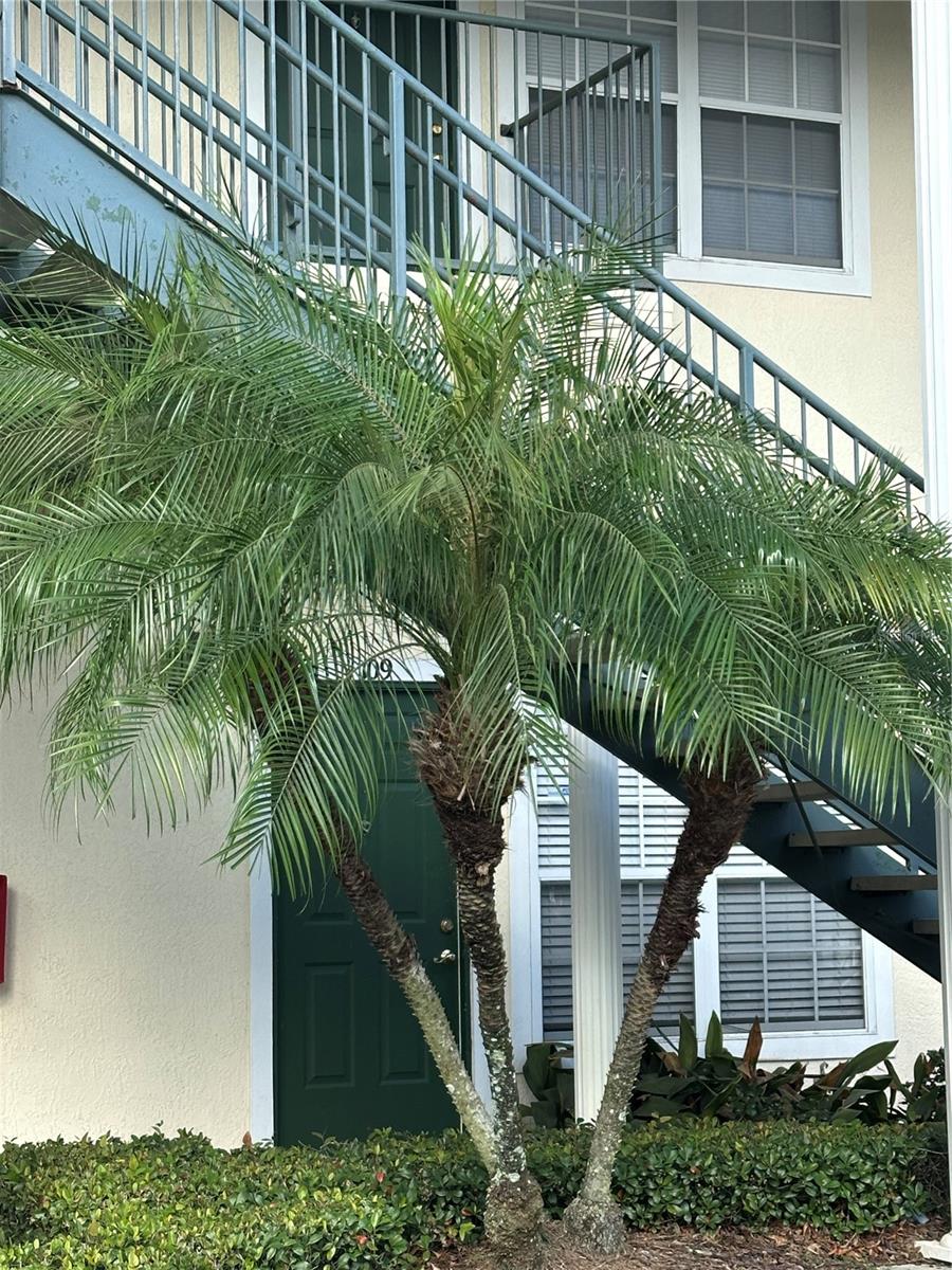 HUNTERS POINTE AT HUNTERS RESERVE A CONDO - Residential Lease