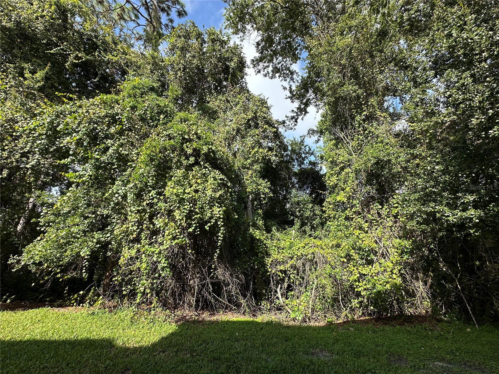 HUNTERS POINTE AT HUNTERS RESERVE A CONDO - Residential Lease