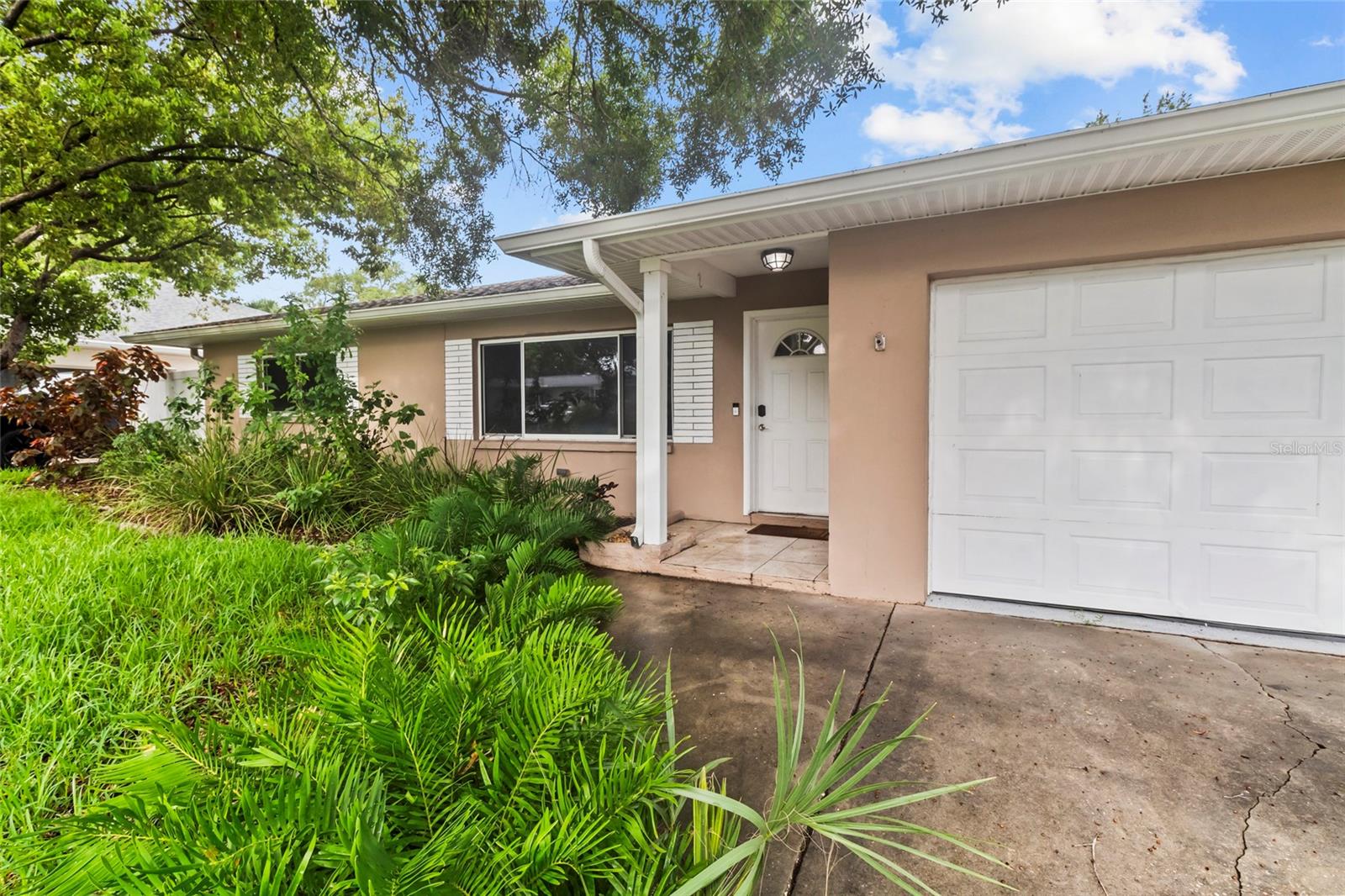 55 VELMA DRIVE W