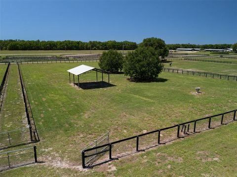 Tiny photo for 2300 NW 110th Avenue, Ocala, FL 34482 (MLS # OM698232)