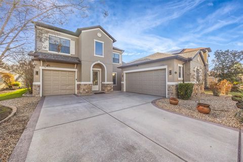 19359 YELLOW CLOVER DRIVE TAMPA FL 33647