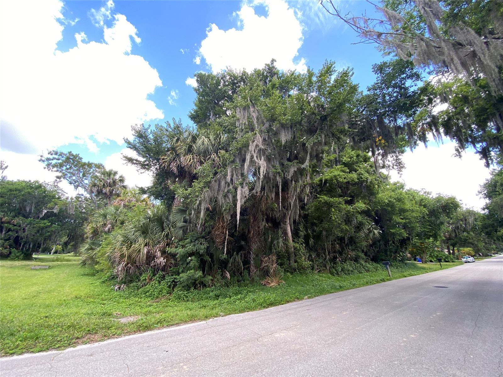 Florida Shores 01 - Land