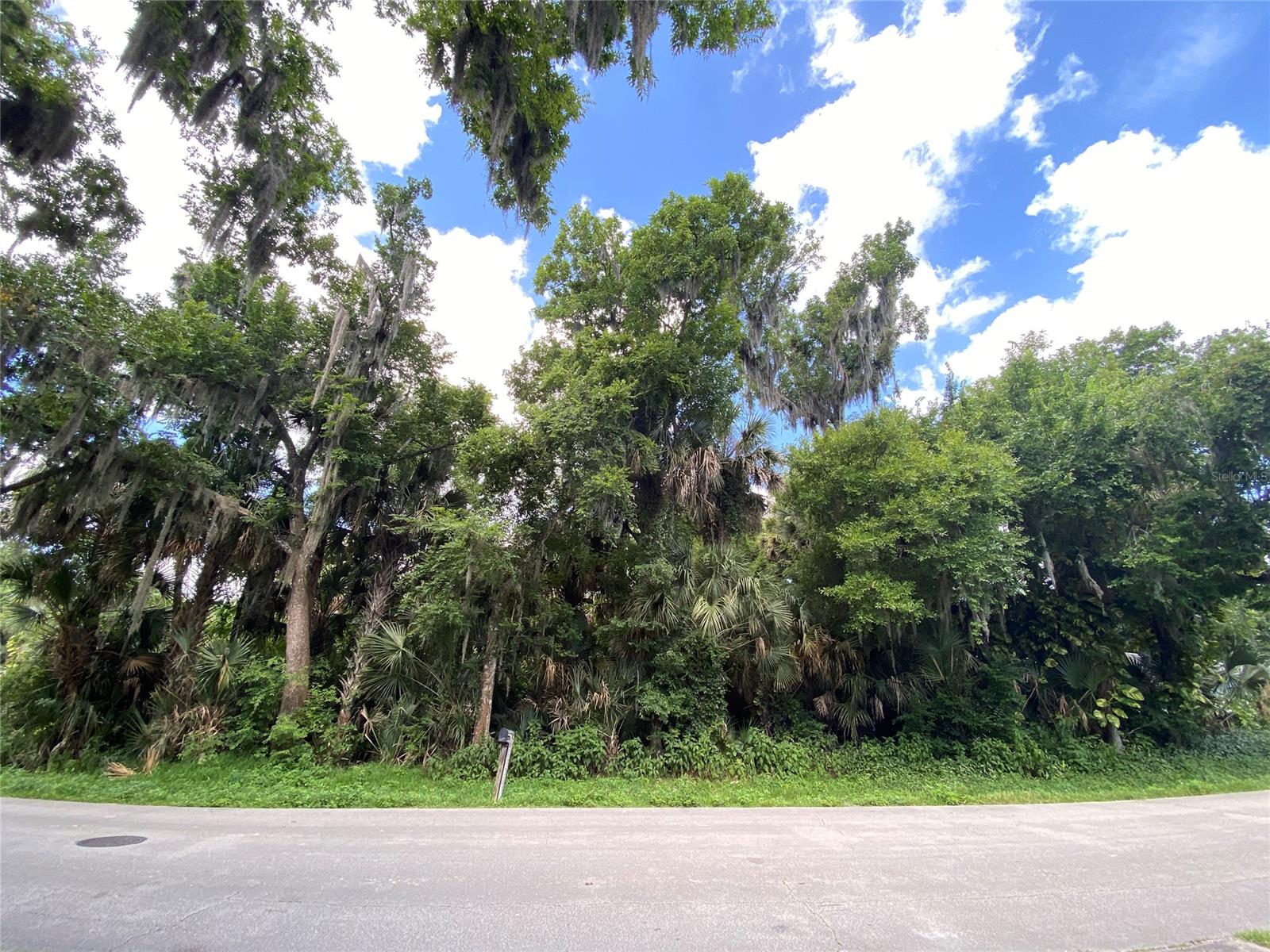 Florida Shores 01 - Land