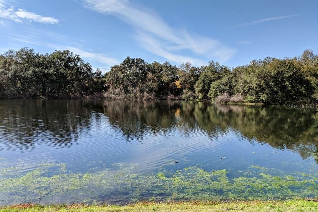 WEDGE WOOD OF PALM HARBOR - Residential Lease