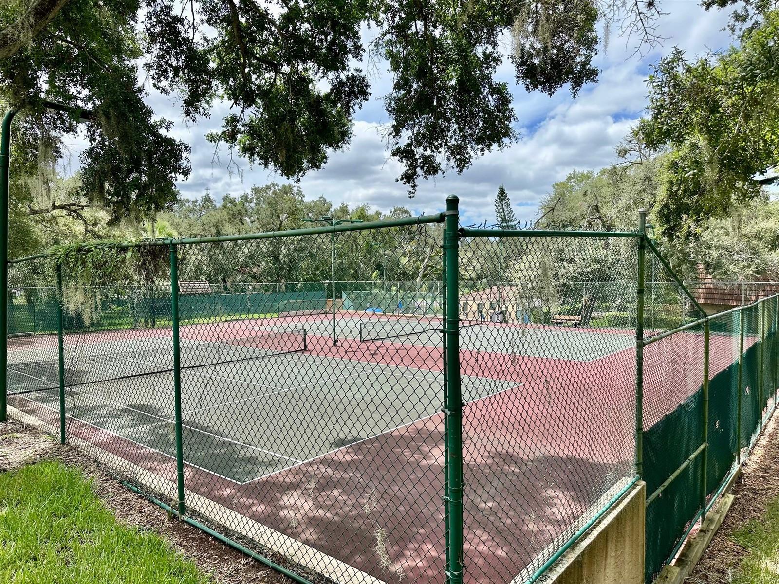 WEDGE WOOD OF PALM HARBOR - Residential Lease