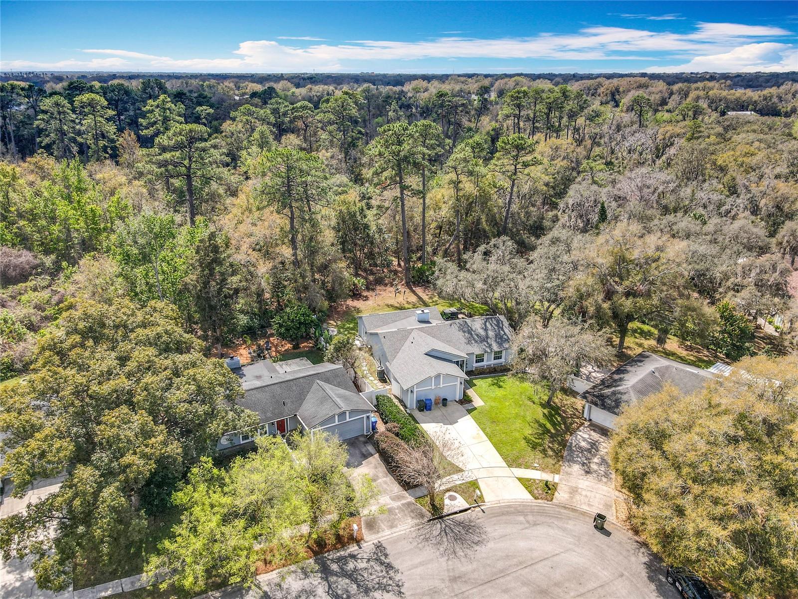 302 LOG RUN COURT