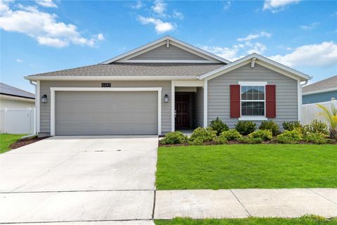 5347 TRAVERTINE STREET MOUNT DORA FL 32757
