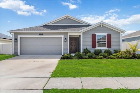 5347 TRAVERTINE STREET MOUNT DORA FL 32757