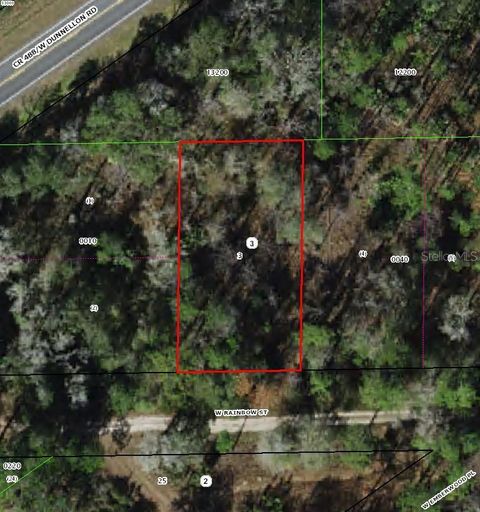 Photo of 7277 W Rainbow Street, Dunnellon, FL 34433 (MLS # TB8508410)
