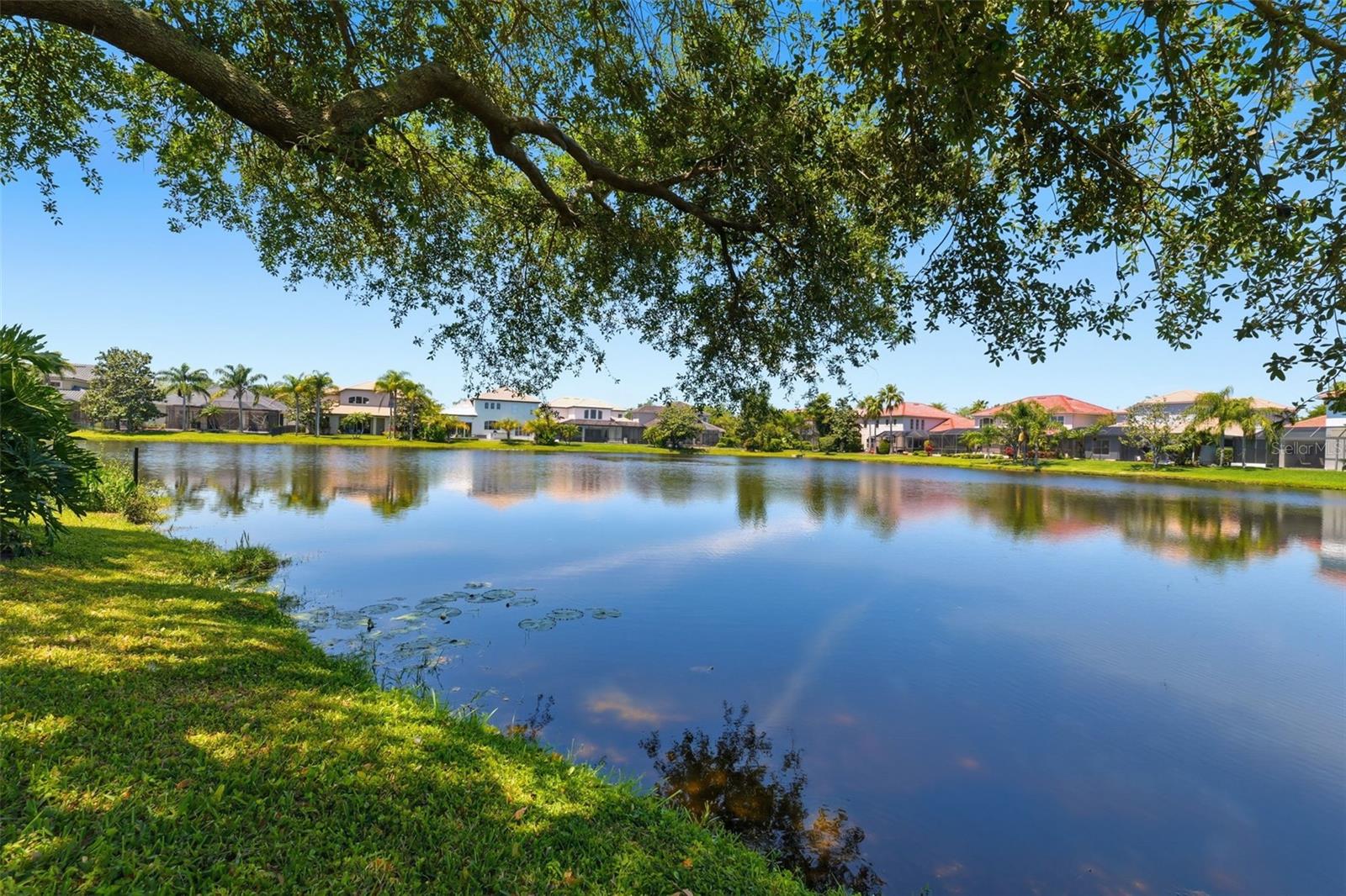 WATERCHASE PH 1 - Residential