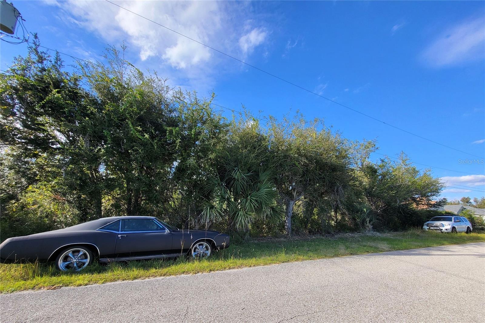 9213 & 9221 GENESEE STREET