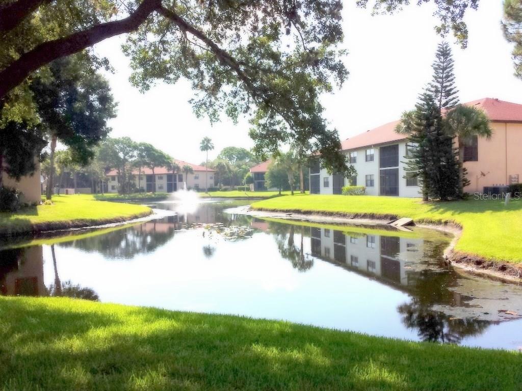 SHOREWALK CONDO - Residential Lease