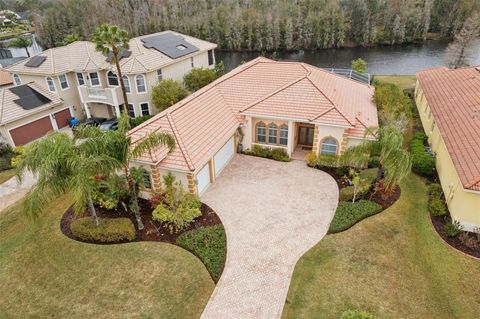 A home in TAMPA