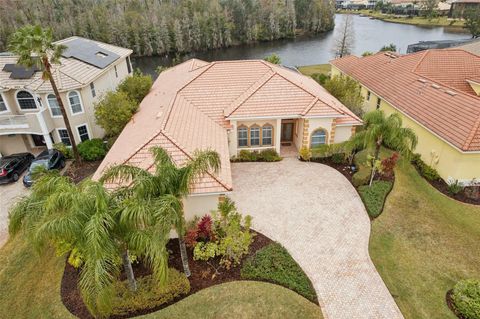 A home in TAMPA