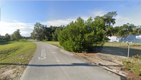 Tiny photo for Tbd Commerce Street, Bronson, FL 32621 (MLS # GC535818)