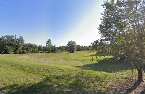 Tiny photo for Tbd Commerce Street, Bronson, FL 32621 (MLS # GC535818)