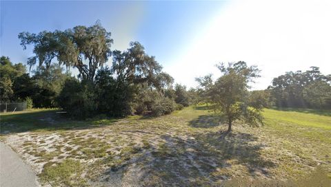 Tiny photo for Tbd Commerce Street, Bronson, FL 32621 (MLS # GC535818)