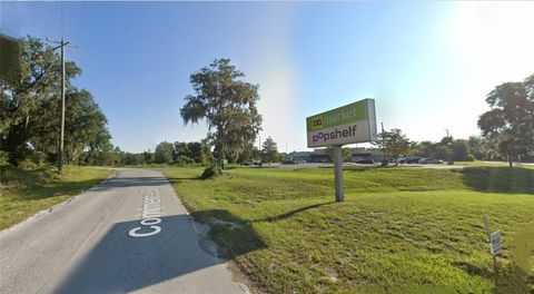 Tiny photo for Tbd Commerce Street, Bronson, FL 32621 (MLS # GC535818)