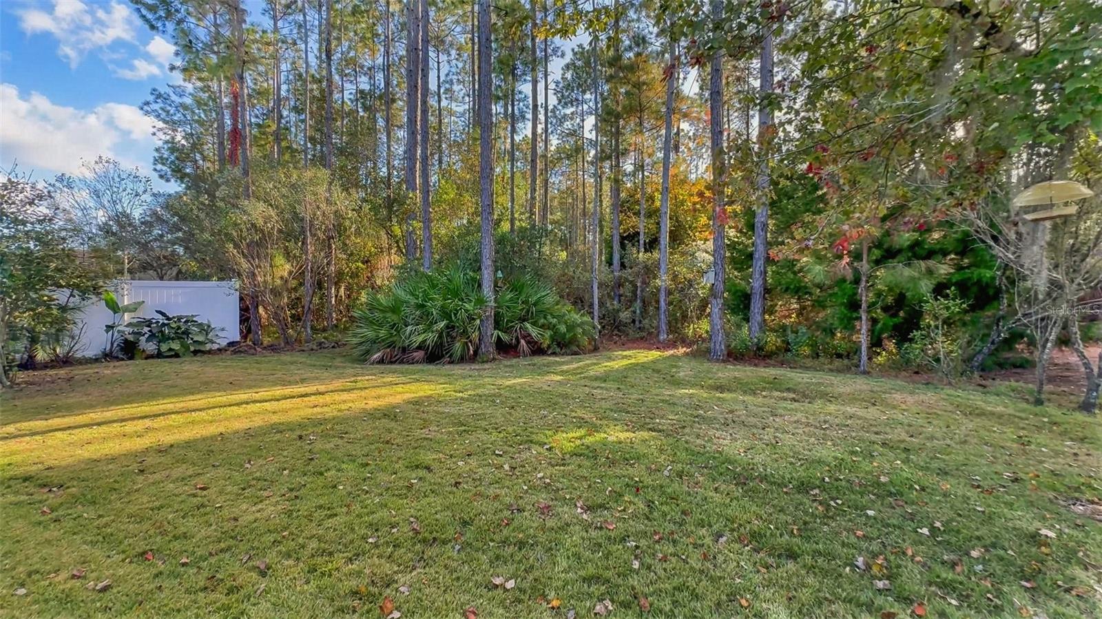 LAS CALINAS - Residential