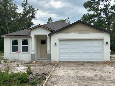 8149 CASHEW WEBSTER FL 33597