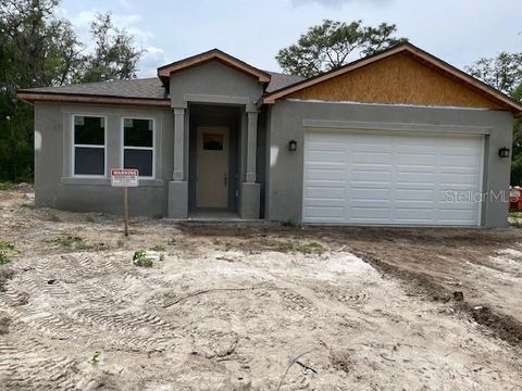 8149 CASHEW WEBSTER FL 33597