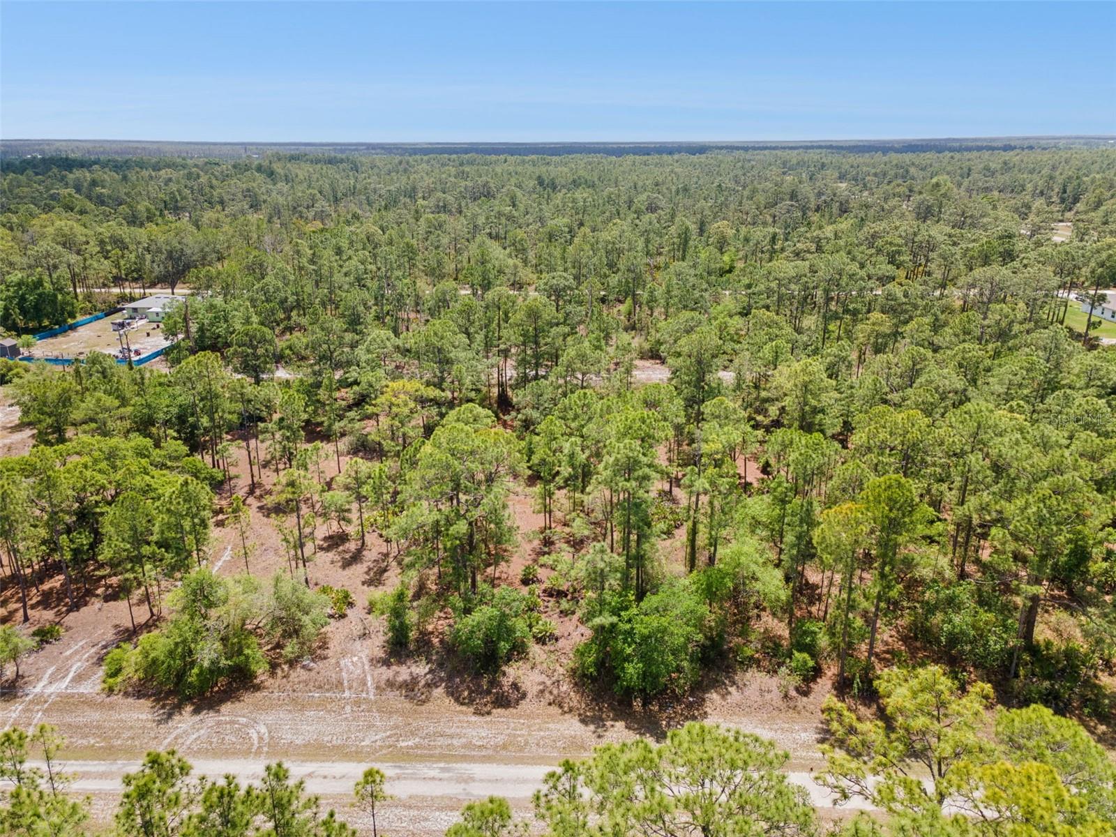 INDIAN LAKE ESTATES - Land