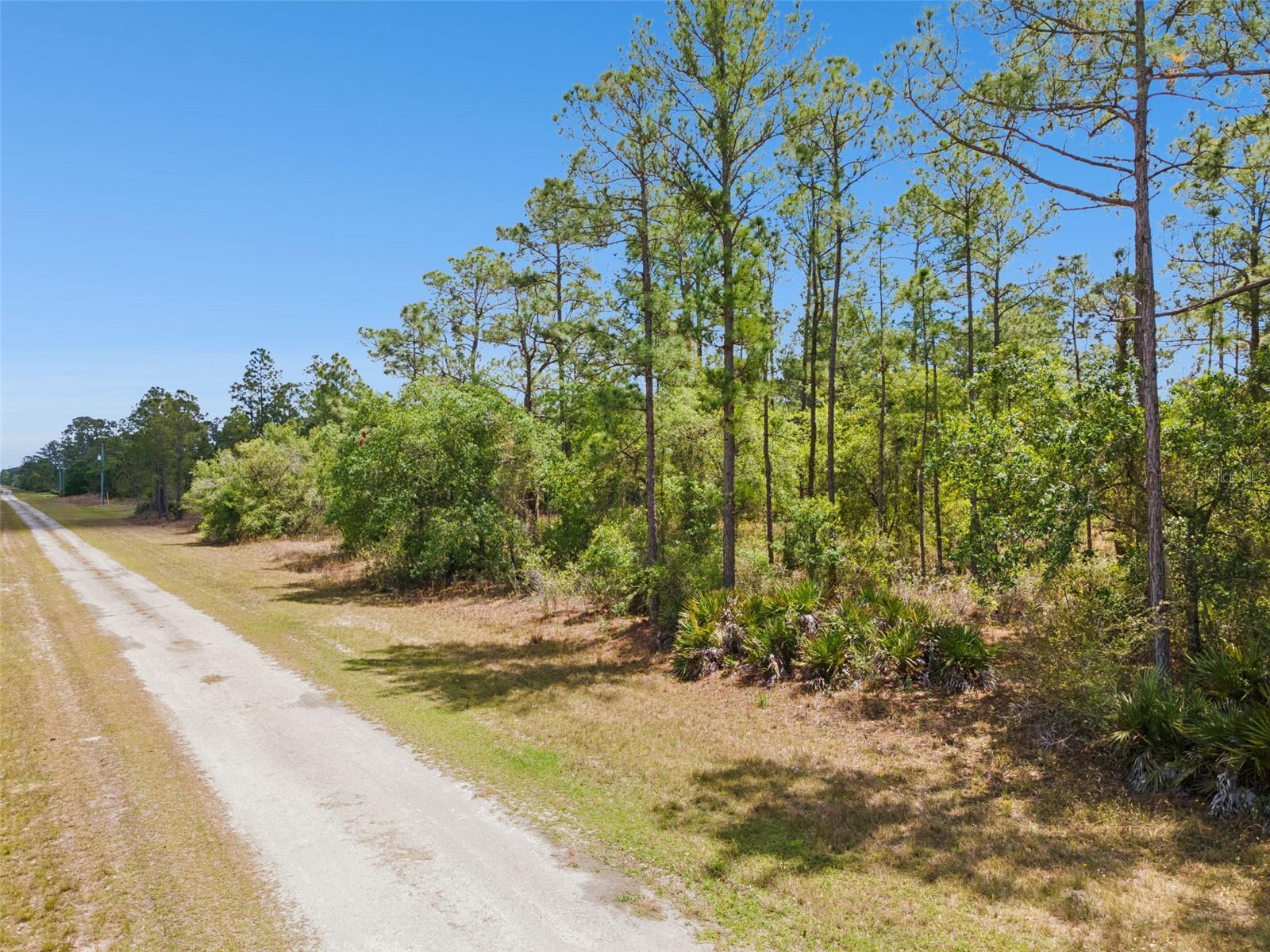 INDIAN LAKE ESTATES - Land