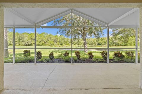 A home in WESLEY CHAPEL