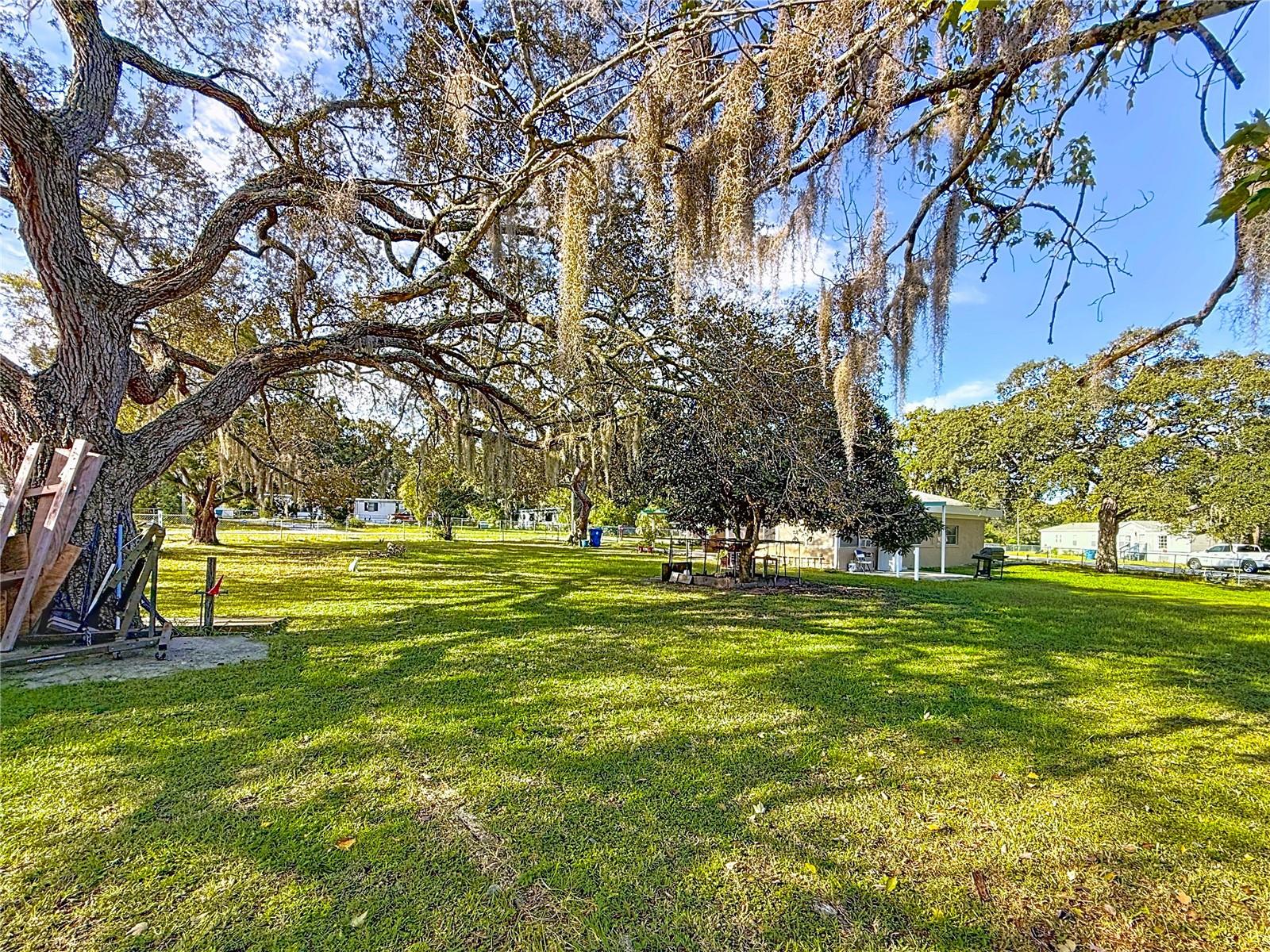 WEEKI WACHEE ACRES - Residential