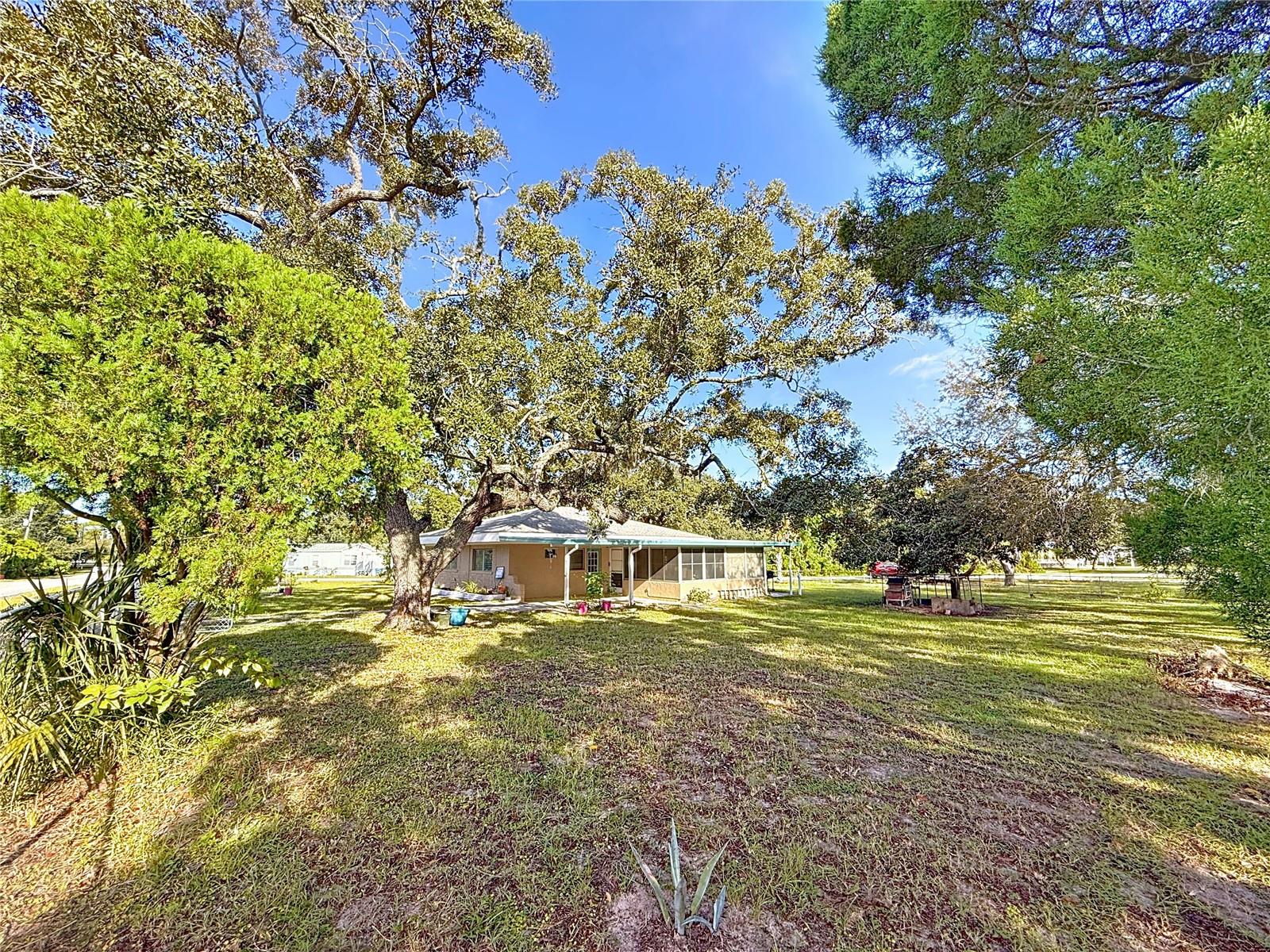 WEEKI WACHEE ACRES - Residential