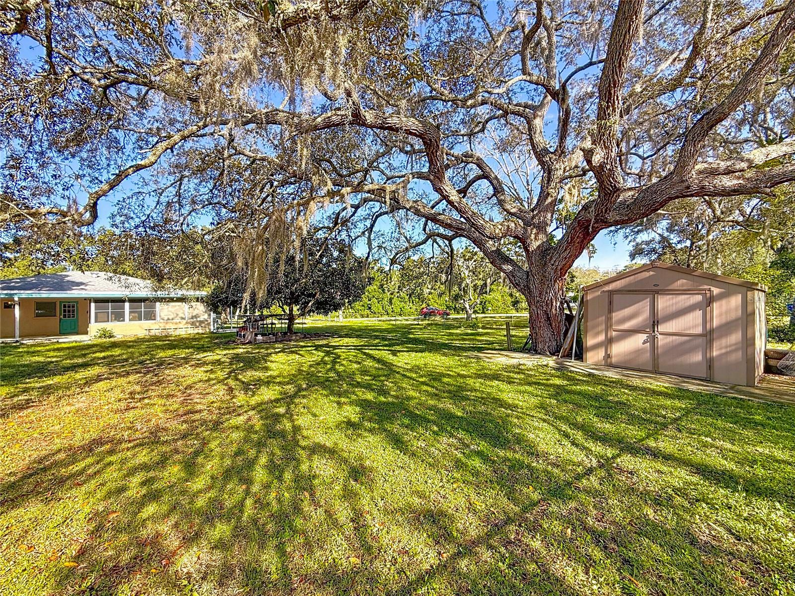 WEEKI WACHEE ACRES - Residential