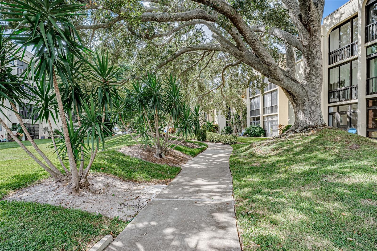 WATERS EDGE 3 CONDO - Residential