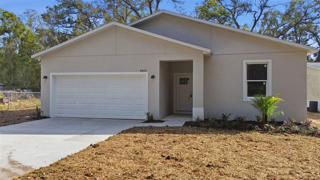 Photo of 24534 Paul Street, Sorrento, FL 32776 (MLS # O6384575)