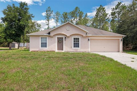 A home in CITRUS SPRINGS