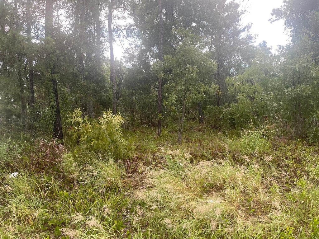 Photo of Spring Hill, FL 34609 (MLS # TB8550892)