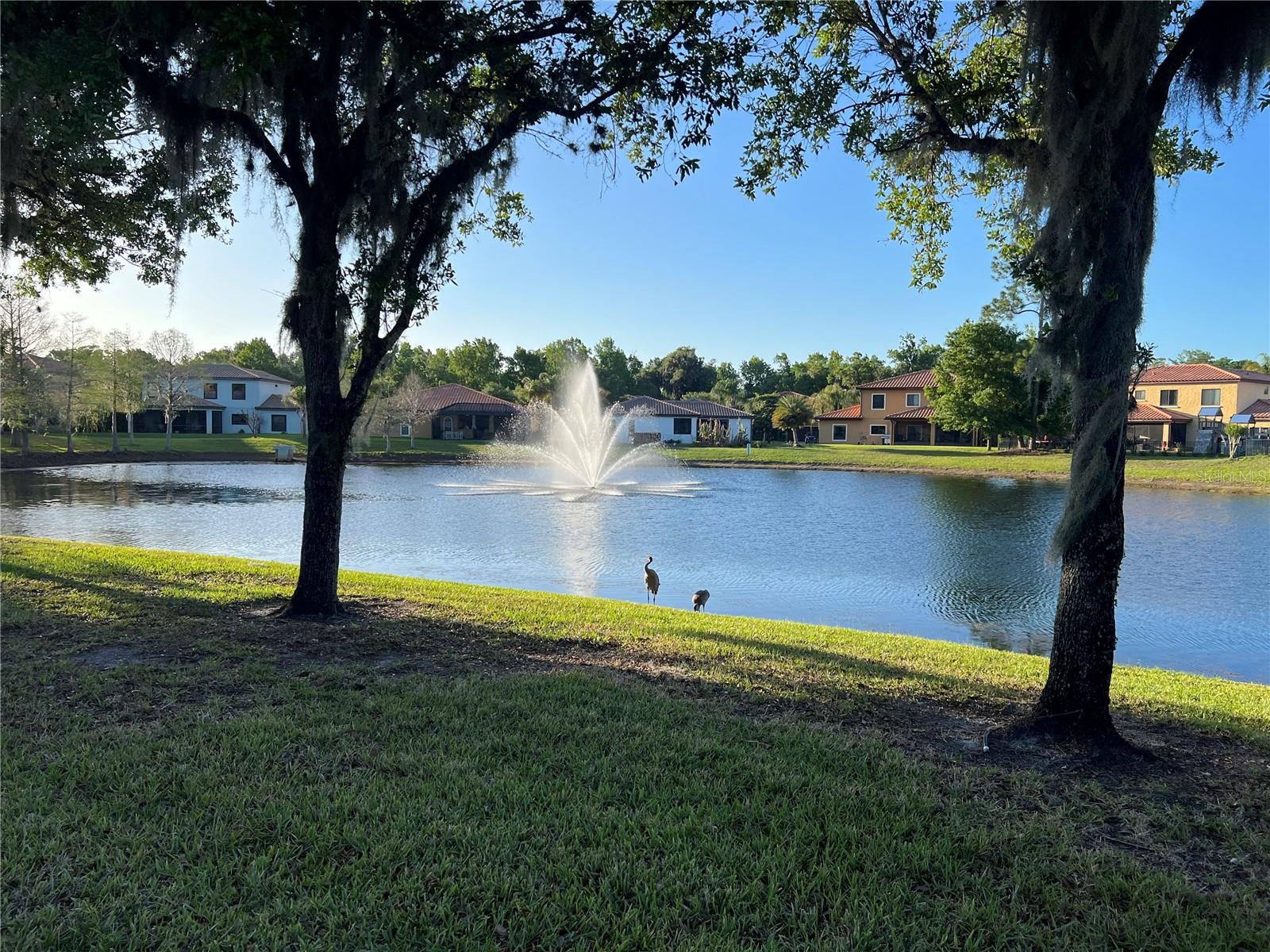 RIVIERA BELLA UNIT 2B - Residential