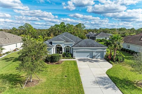 16336 26TH STREET E PARRISH FL 34219
