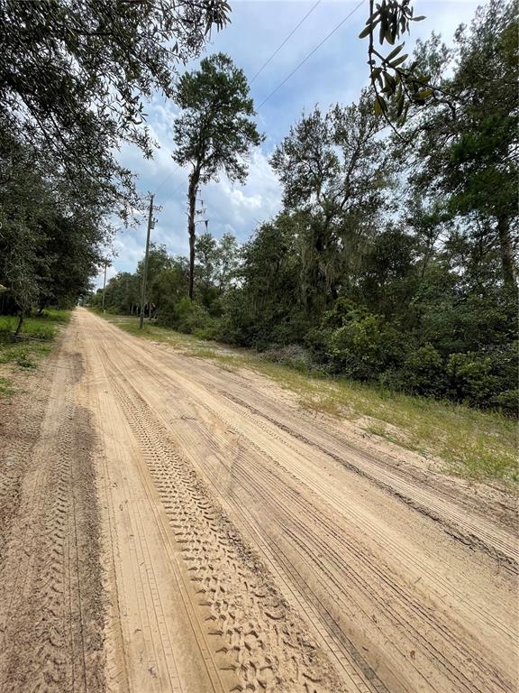 OCALA NATIONAL FOREST CAMPSITES - Land