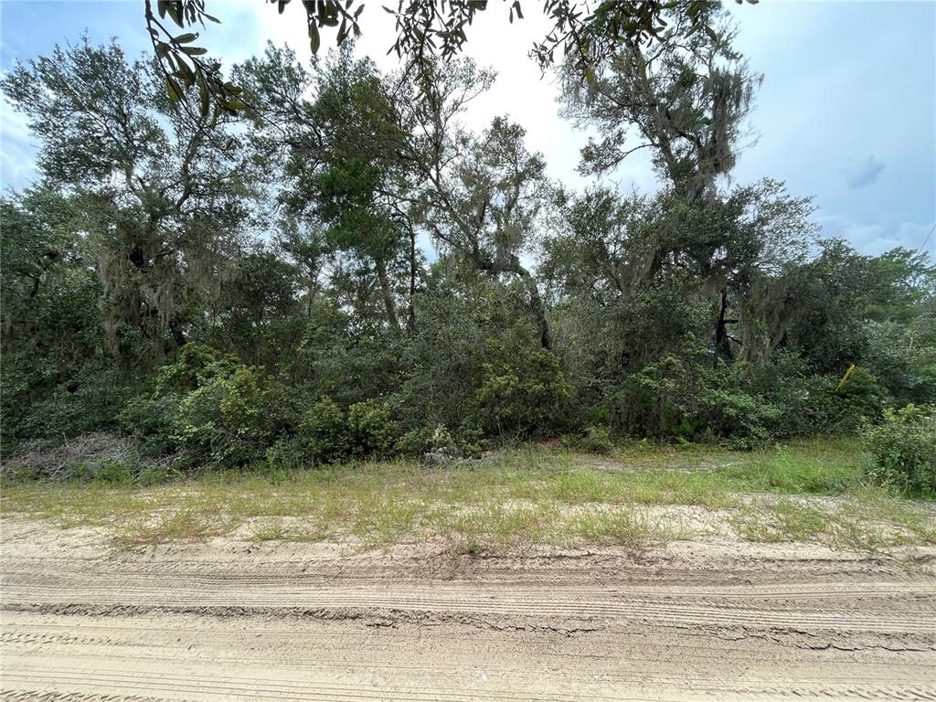OCALA NATIONAL FOREST CAMPSITES - Land