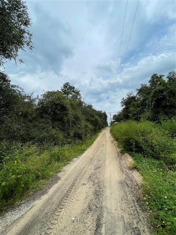 OCALA NATIONAL FOREST CAMPSITES - Land