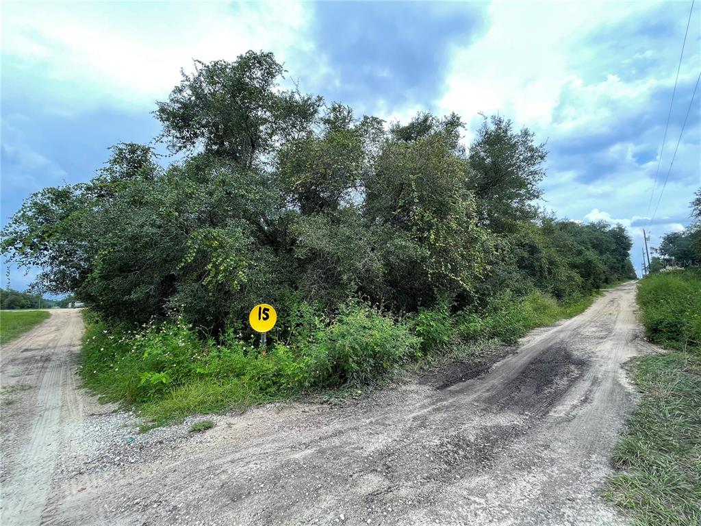 OCALA NATIONAL FOREST CAMPSITES - Land