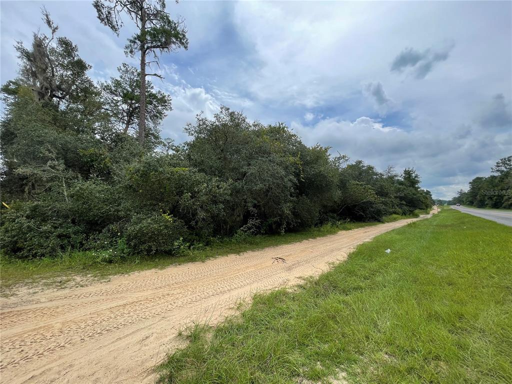 OCALA NATIONAL FOREST CAMPSITES - Land