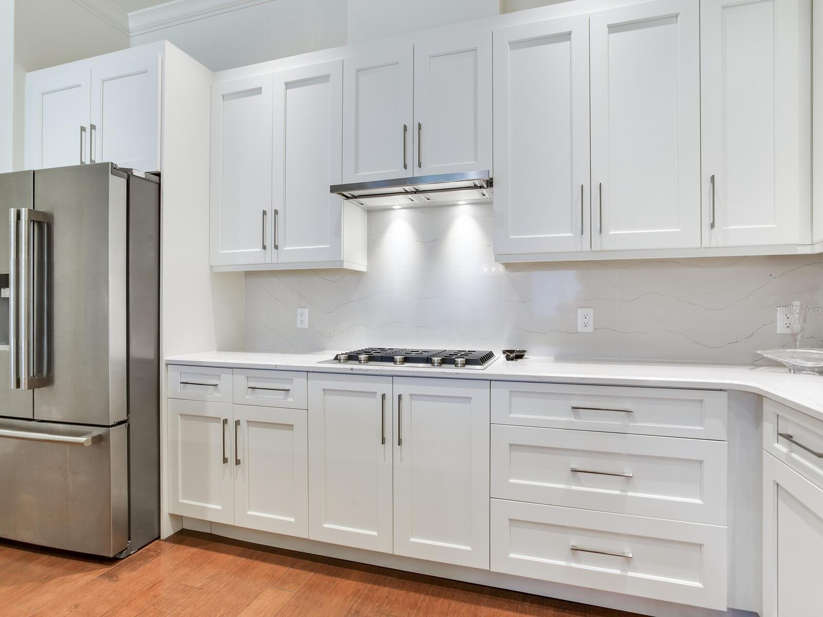 CARRIAGE HOMES AT BELLEVIEW PLACE CONDO - Residential