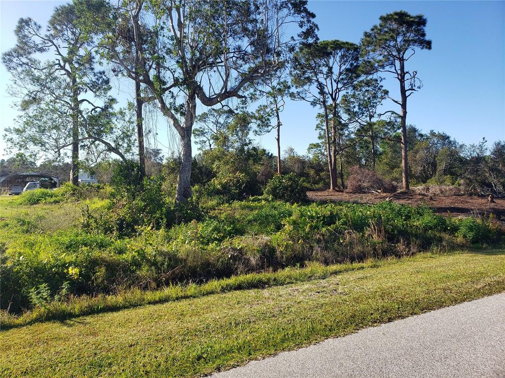 Photo of 776 Lake August Drive, Lake Placid, FL 33852 (MLS # N6124650)