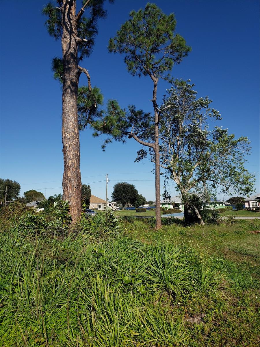 PLACID LAKES SEC 17 - Land