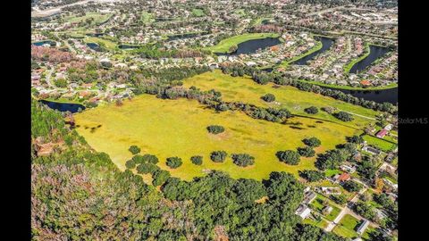 816 RUSSELL ROAD NEW SMYRNA BEACH FL 32168