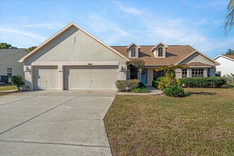 A home in SPRING HILL