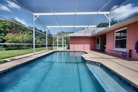 Tiny photo for 11208 Haskell Drive, Clermont, FL 34711 (MLS # O6421402)