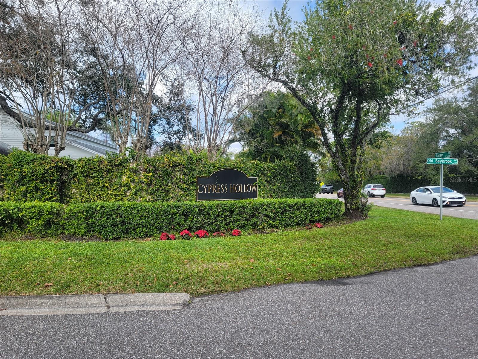 CYPRESS HOLLOW - Residential