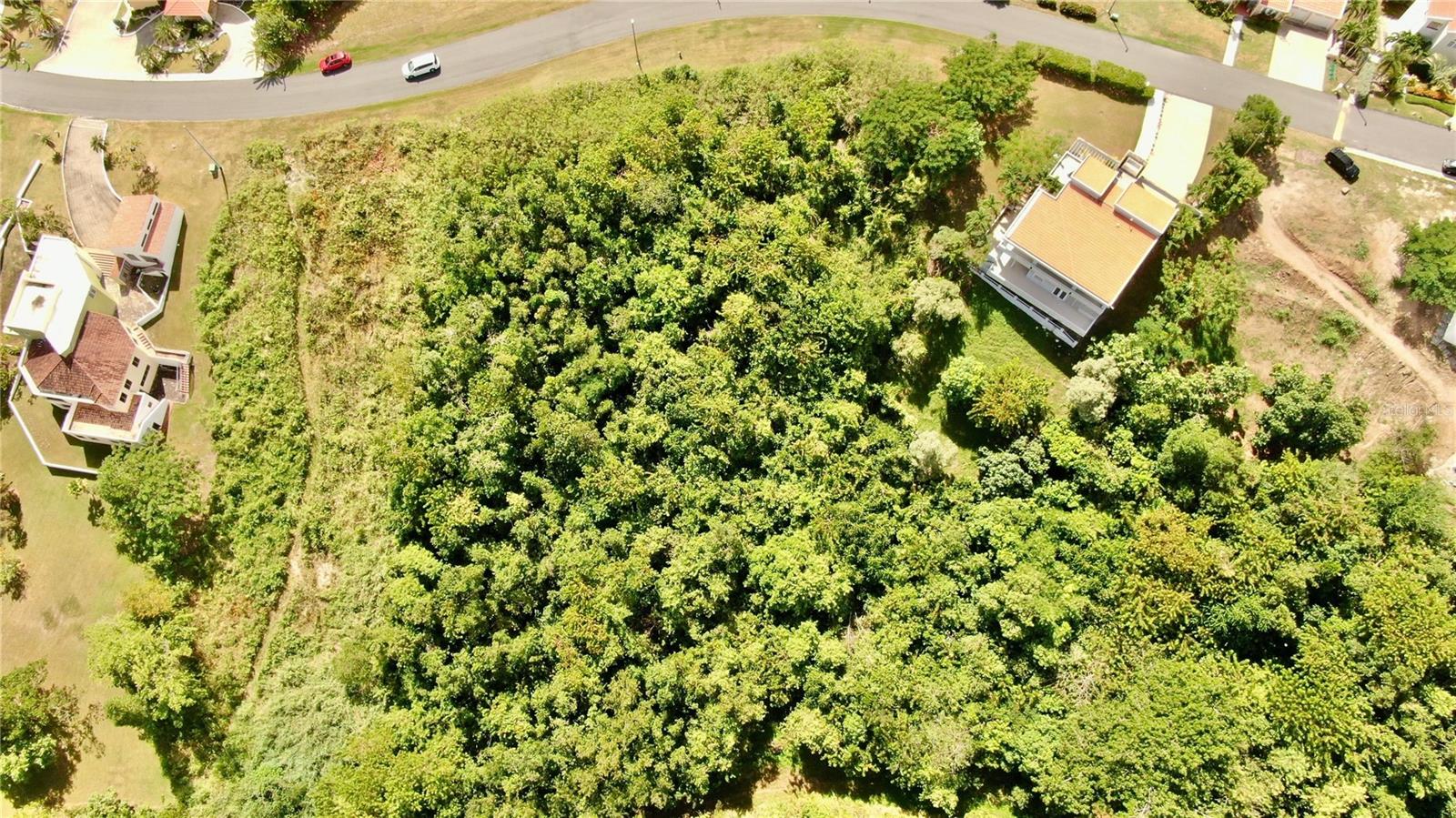 Unique opportunity to build your dream home in Palmas del Mar Resort, Humacao! This residential lot measures 2,248 square feet (208.9 square meters) and is located within an exclusive community offering 24/7 security, providing peace of mind and privacy.
Enjoy close proximity to the beach, the hotel, and excellent tennis courts, all just minutes from your property. From the lot, you can take in stunning ocean views, perfect for making the most of the natural surroundings and refreshing sea breeze.
Palmas del Mar Resort also offers access to world-class golf courses and an exclusive beach club, complementing the active and relaxed lifestyle you deserve.
This lot is ideal for those seeking the perfect blend of nature, luxury, and comfort in a secure and privileged setting.